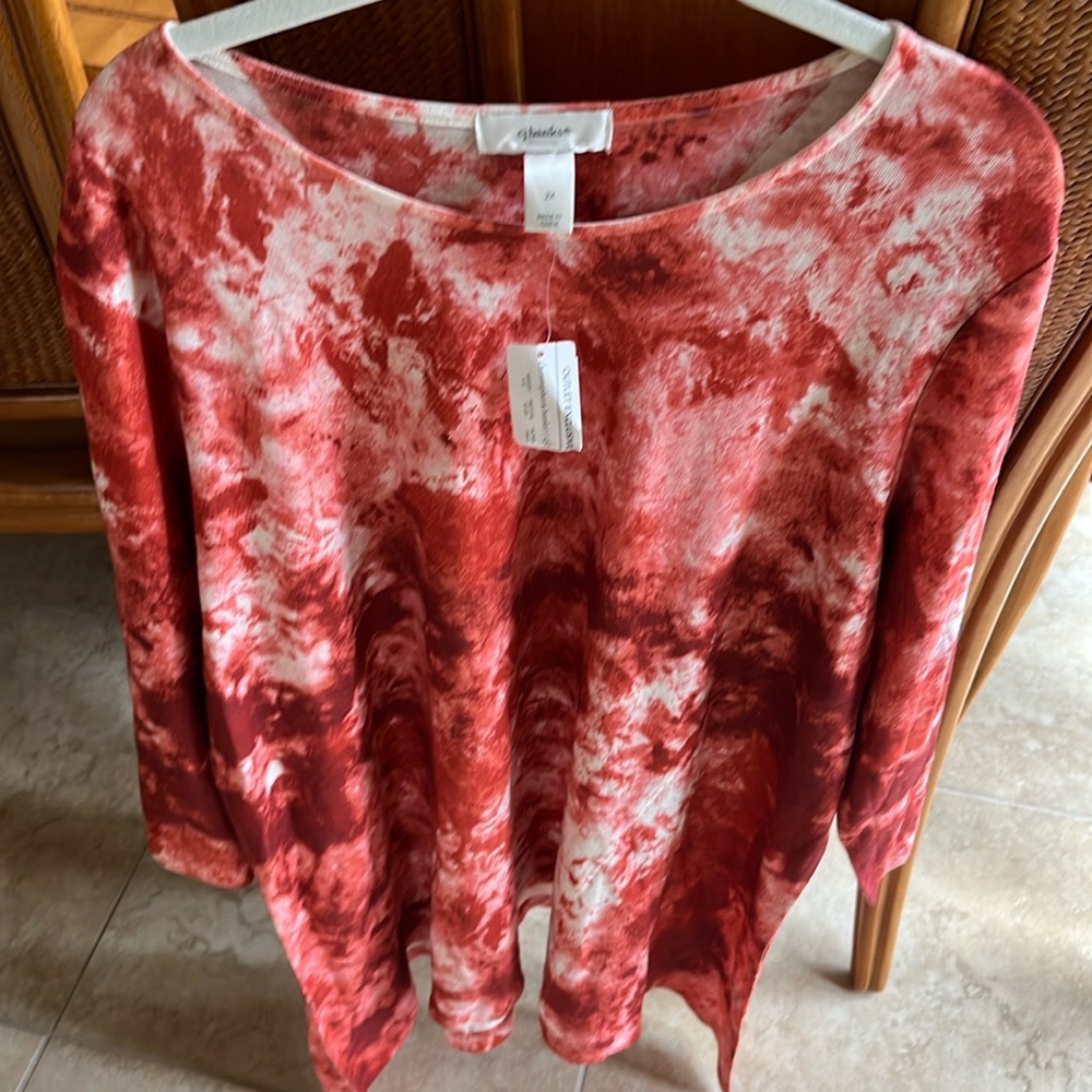 Beautiful CJ Banks top was purchased as a gift for me but it didn’t fit.